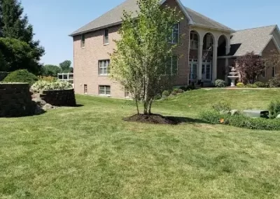 Reliable Landscaping Services