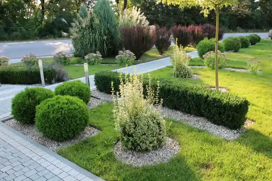 Common Lawn Issues Solved Through Regular Maintenance in Wauconda, IL Common Lawn Issues Solved Through Regular Maintenance in Wauconda, IL