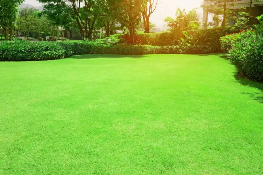 How Mulching Enhances Landscape Maintenance Results Wauconda, IL How Mulching Enhances Landscape Maintenance Results Wauconda, IL